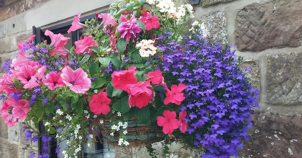 ***** Bed and breakfast Ann'S Cottage And The Old Smithy Rosedale Abbey Reino Unido